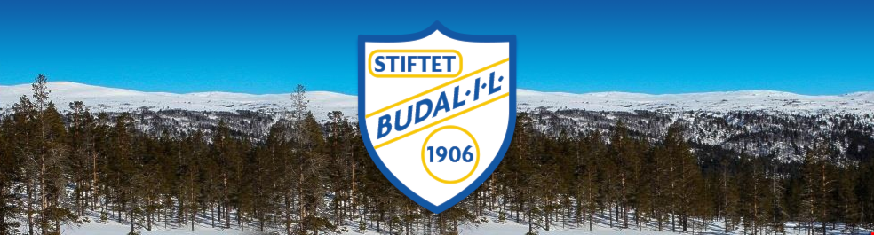 Budal IL